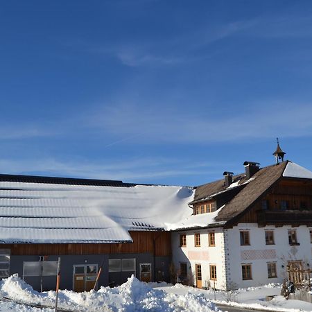 Vorderreithbauer Apartamento Hof bei Salzburg Exterior foto