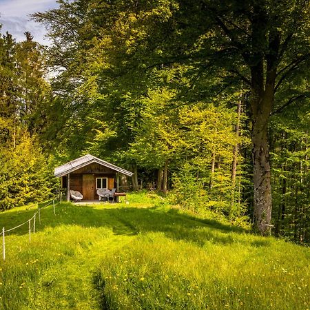 Vorderreithbauer Apartamento Hof bei Salzburg Exterior foto