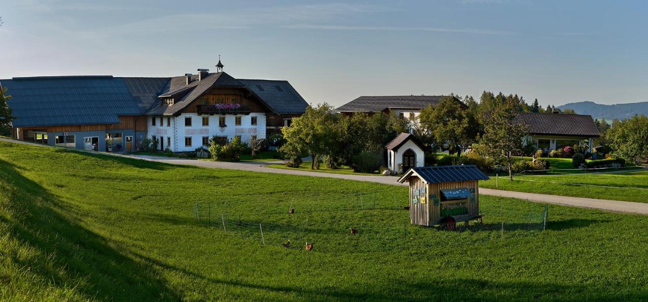 Vorderreithbauer Apartamento Hof bei Salzburg Exterior foto