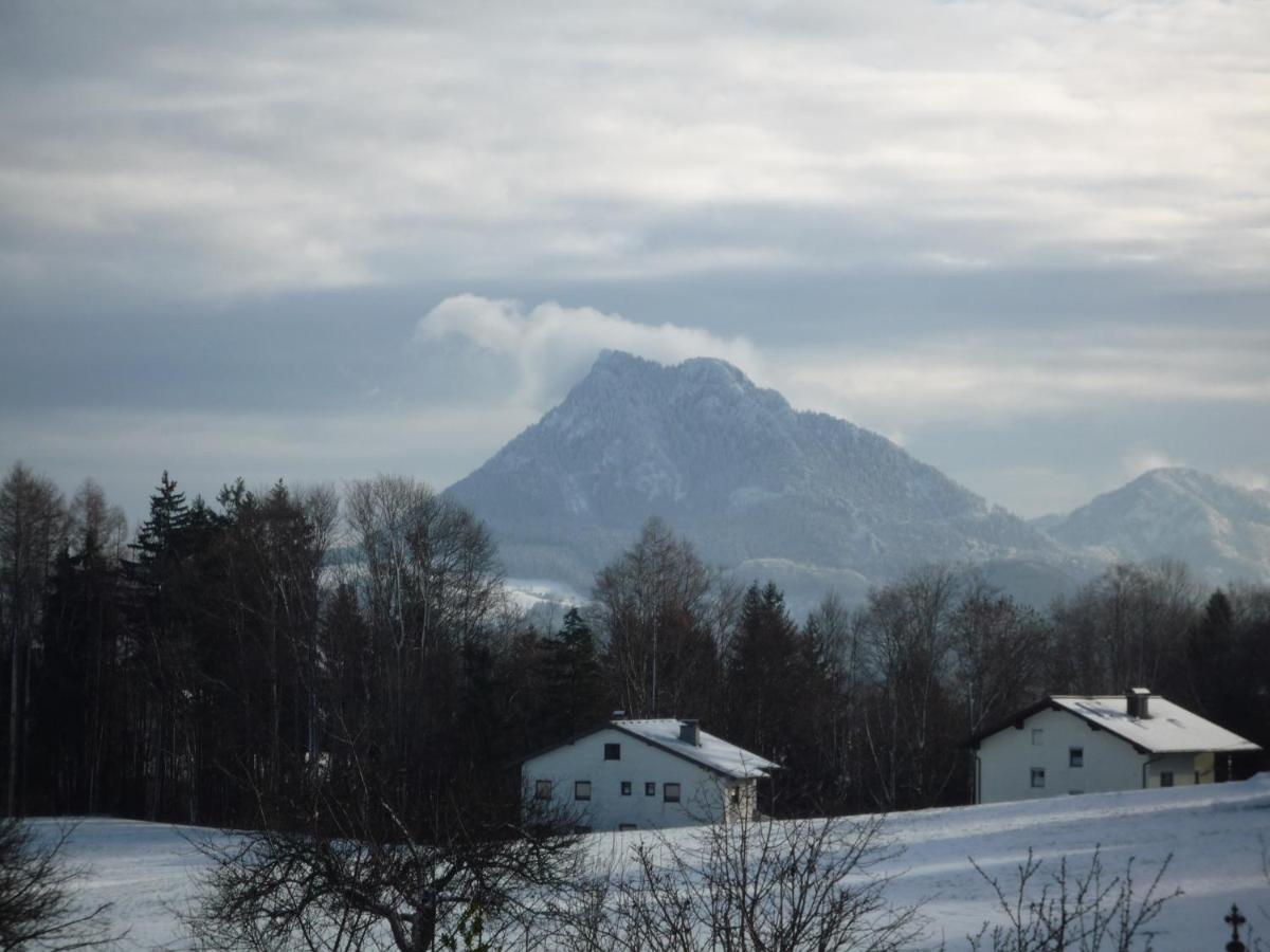 Vorderreithbauer Apartamento Hof bei Salzburg Exterior foto