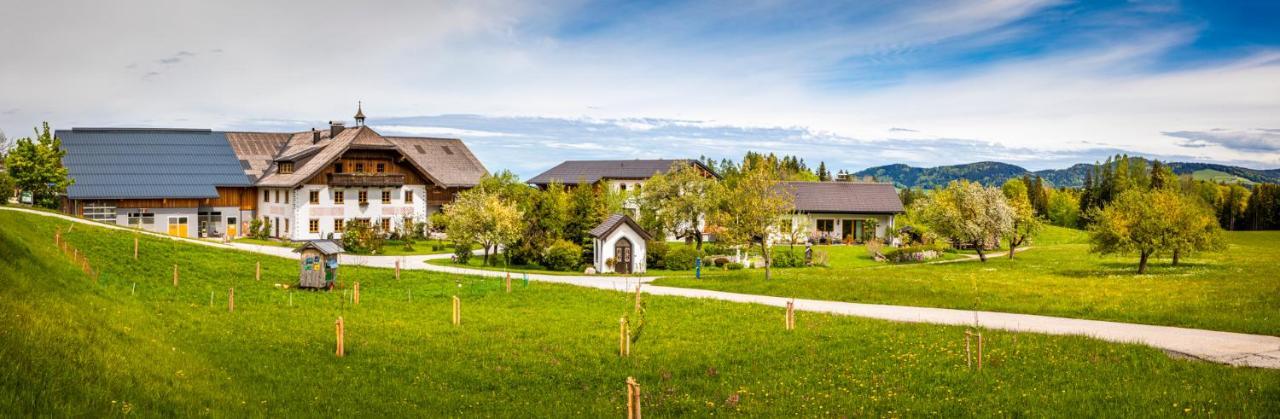 Vorderreithbauer Apartamento Hof bei Salzburg Exterior foto